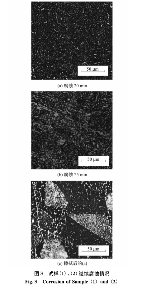 試樣(1)、(2)繼續(xù)腐蝕情況