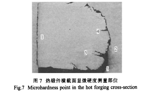 熱鍛件橫截面顯微硬度測(cè)量部位 熱鍛件橫截面顯微硬度測(cè)量部位