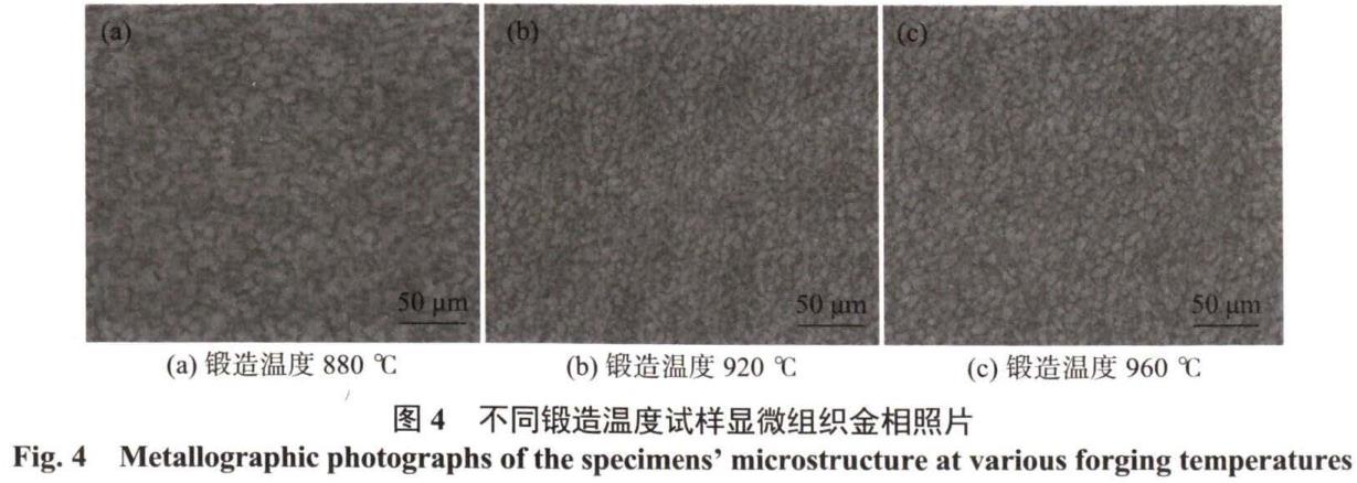 1686300737399314.jpg t4.jpg