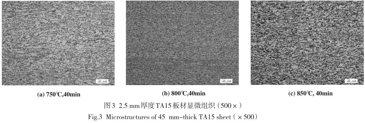 1687581226917184.jpg t3.jpg