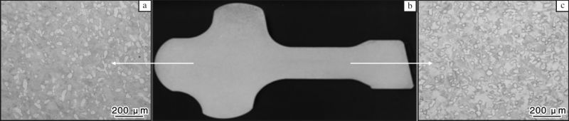 1697976438710826.jpg 7.jpg