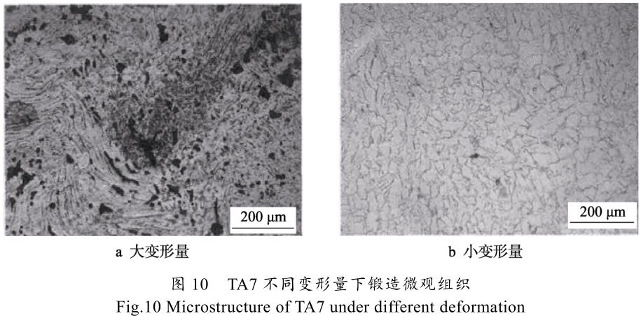 1699223191193773.jpg t10.jpg