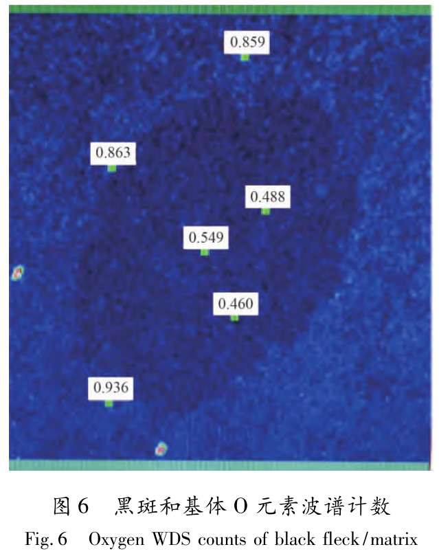 1730259102944506.jpg 6.jpg