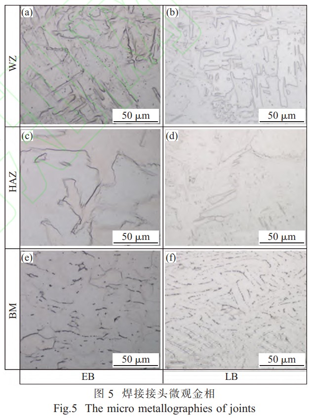 1743340659767560.jpg 5.jpg